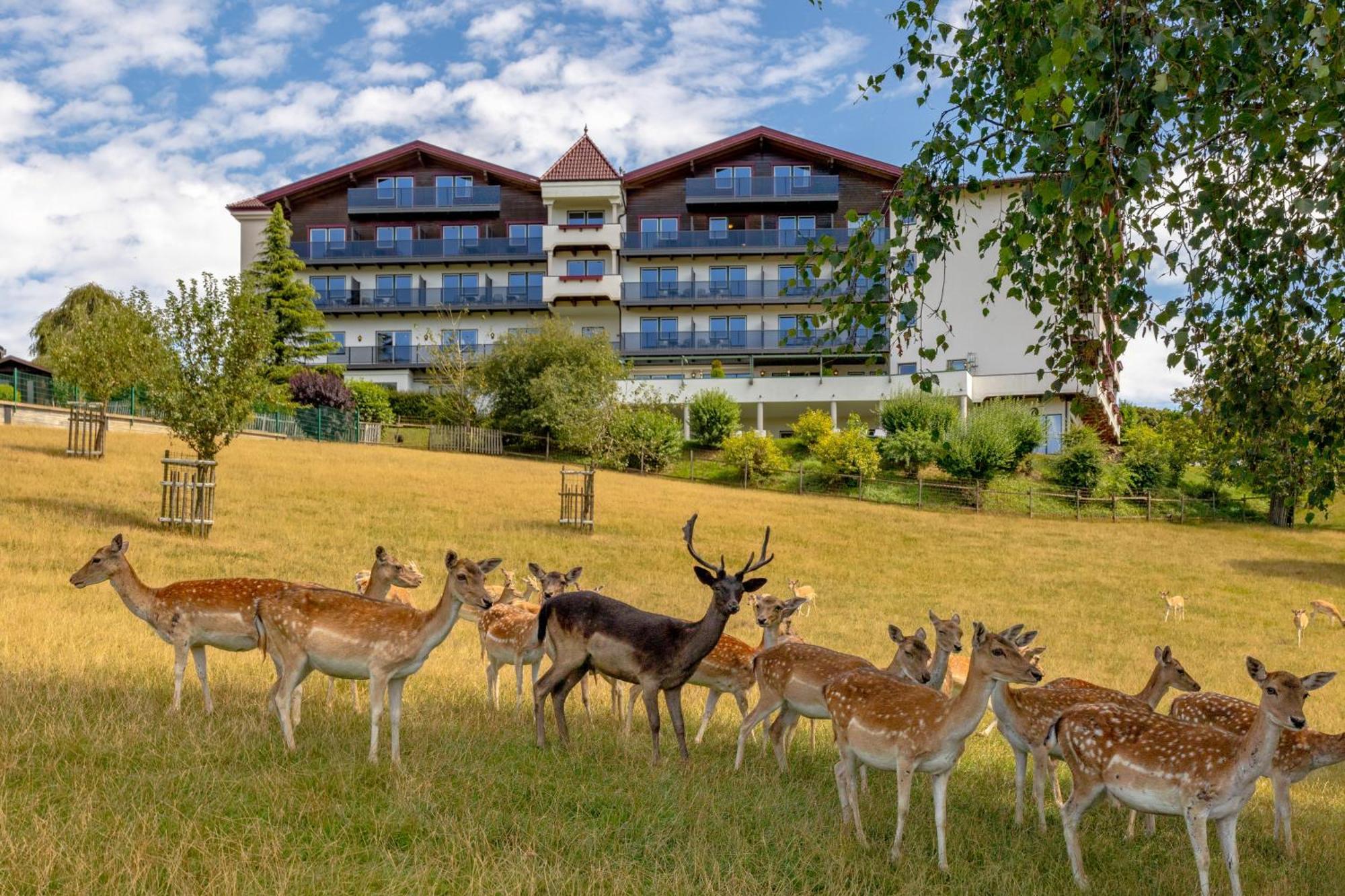 Natur- Und Wohlfuehlhotel Kastenholz Wershofen ภายนอก รูปภาพ